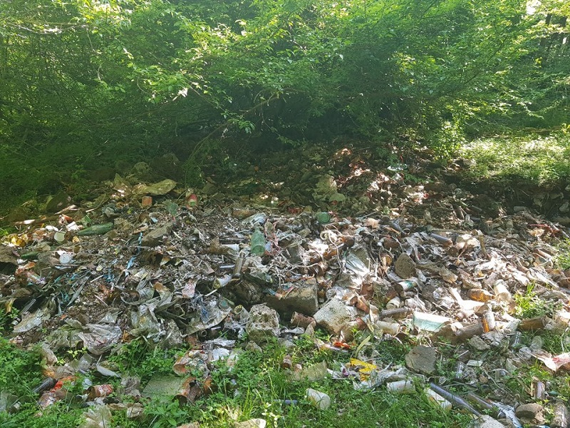 Jeju: 2 tấn rác đổ trộm suốt 30 năm bị phát hiện